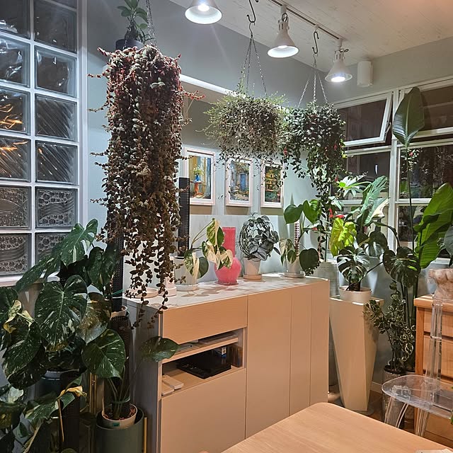 nonbiri_house_さんの部屋