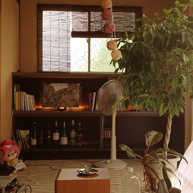 実例写真