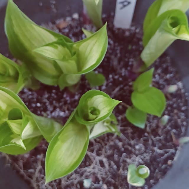 hiro.904さんの部屋