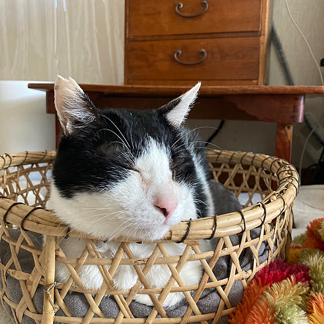 karuさんの部屋