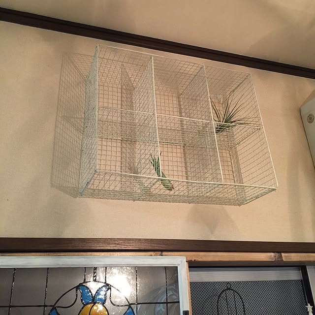 urucotoさんの実例写真