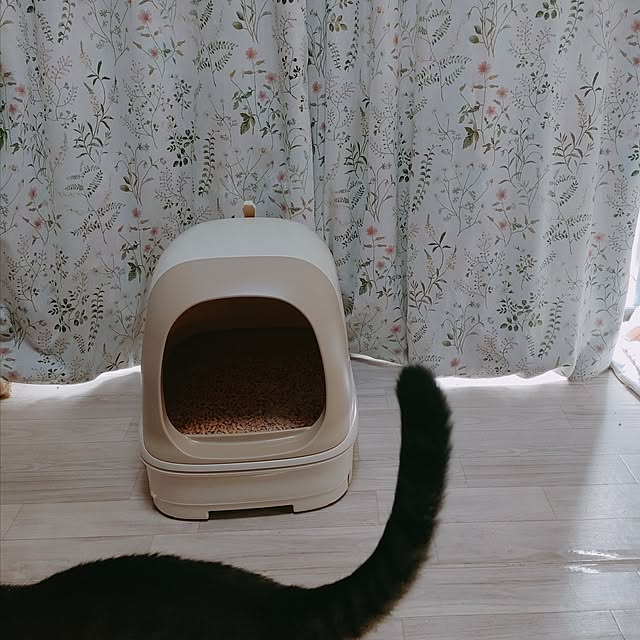 mori_6_12さんの部屋