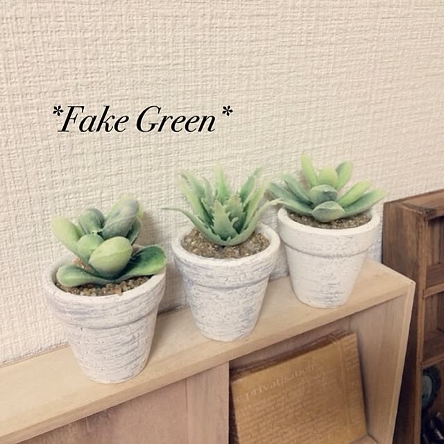 Geminiさんの実例写真