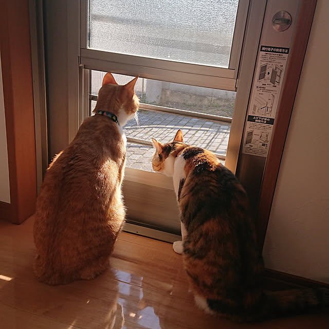 akiさんの実例写真