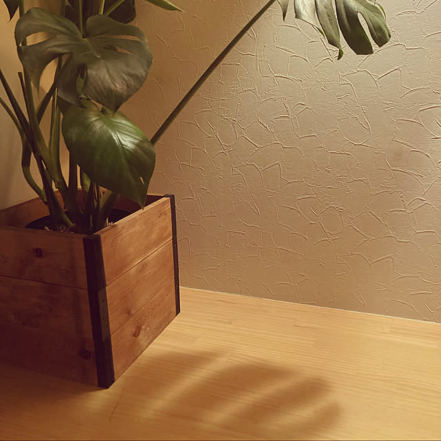 otttyoさんの実例写真