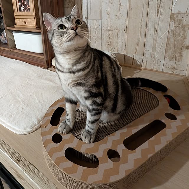lovepeaceさんの部屋