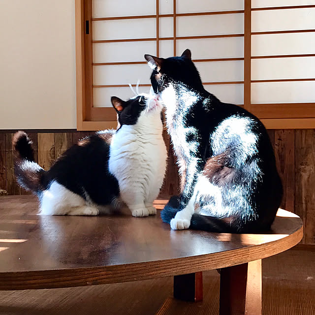 butachanさんの実例写真