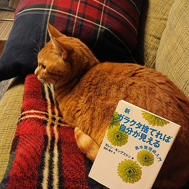 okyosan101さんの実例写真