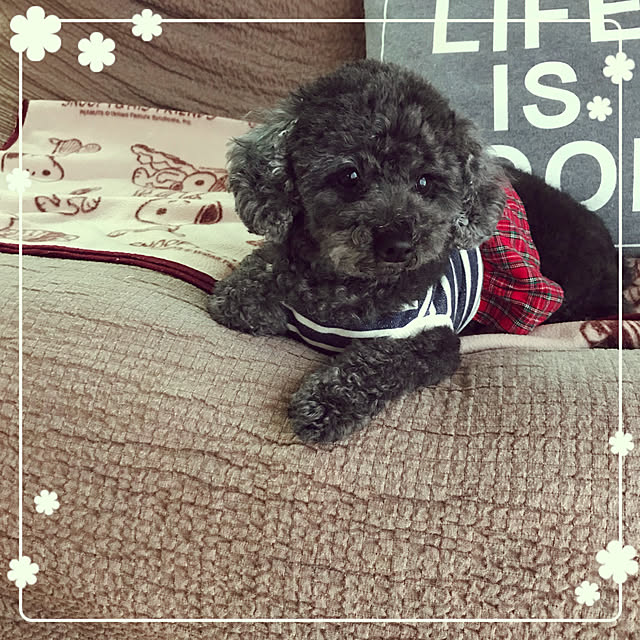 makkoさんの実例写真