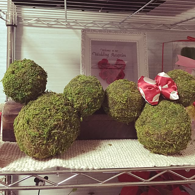 Harukaさんの実例写真