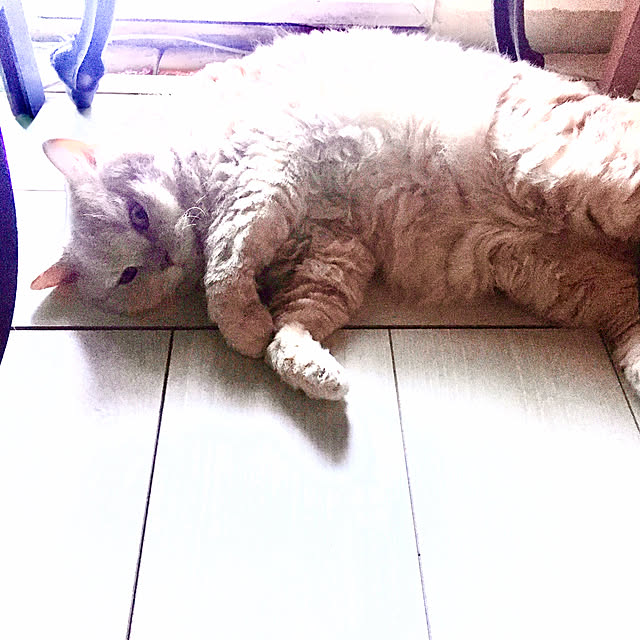 naokoさんの実例写真