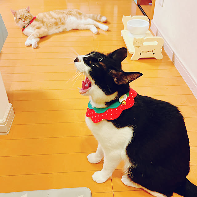 moolさんの部屋