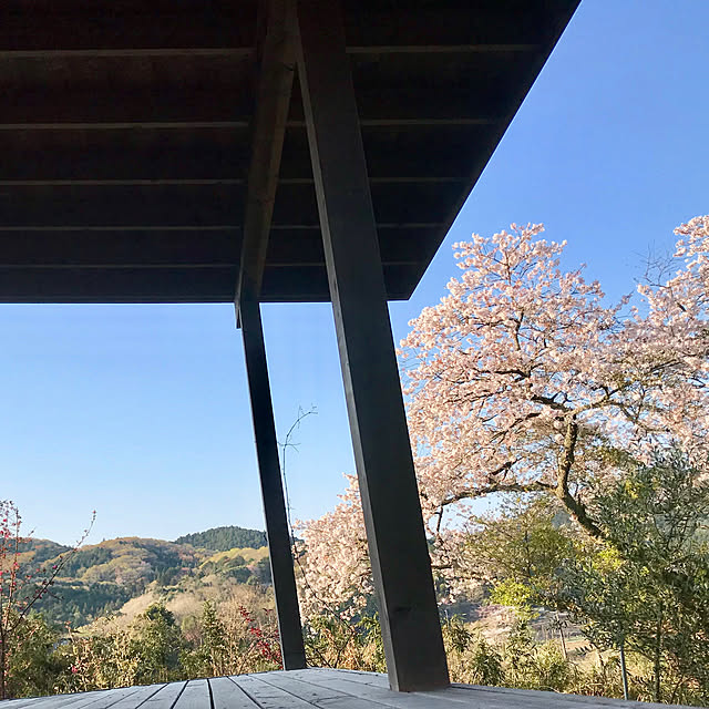 sakurasakuさんの実例写真