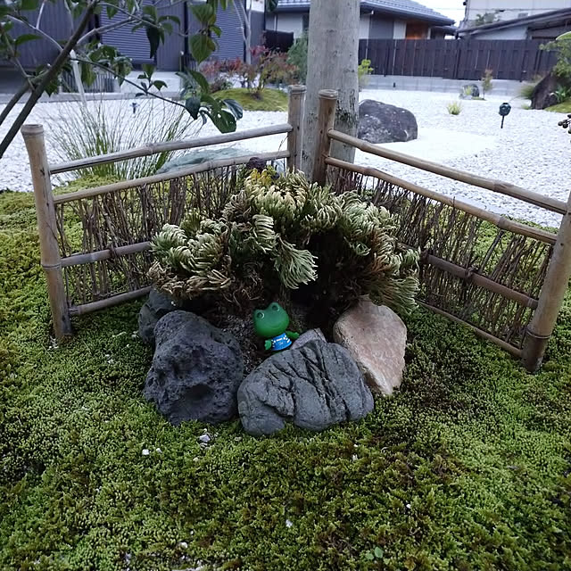 実例写真