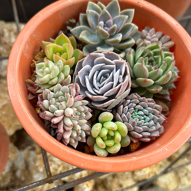 yuipyappさんの部屋