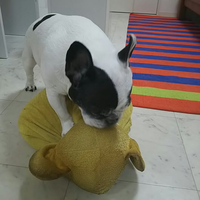 AandPさんの実例写真