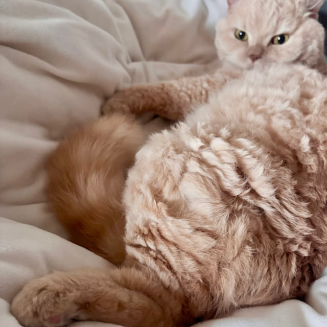 naokoさんの部屋