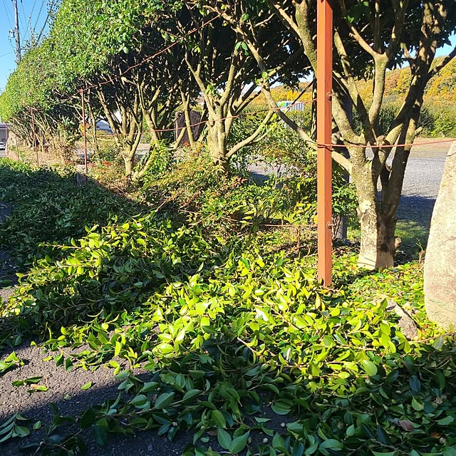 Rubiconさんの部屋