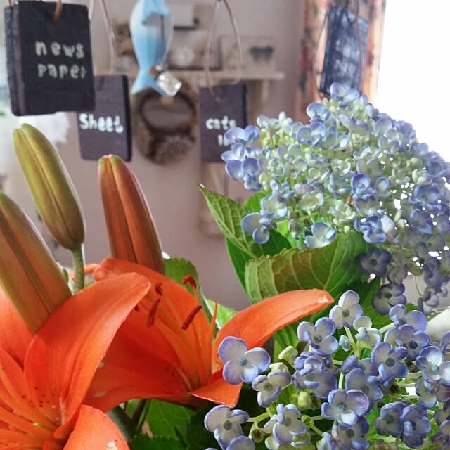 hitomiさんの実例写真
