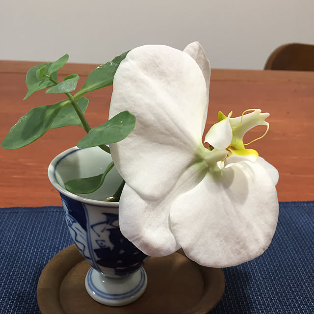 buchiさんの実例写真