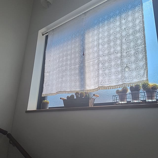 gin_mamaさんの実例写真