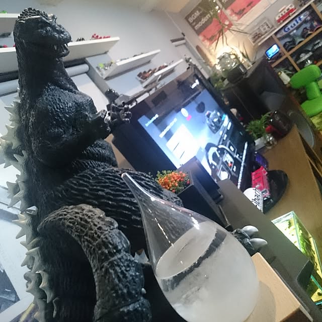 Type.Rさんの実例写真