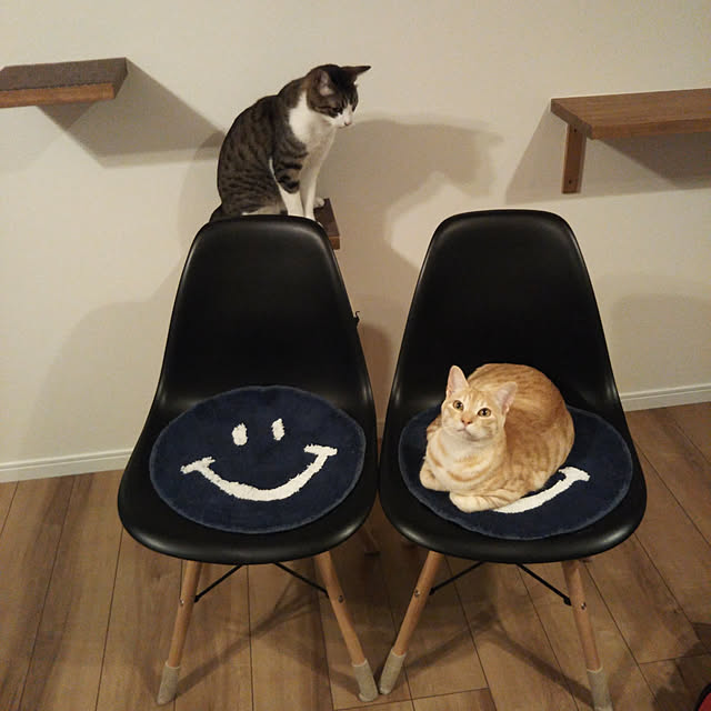 shiiiさんの実例写真