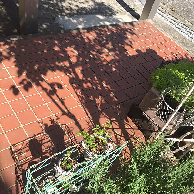 koihiさんの実例写真