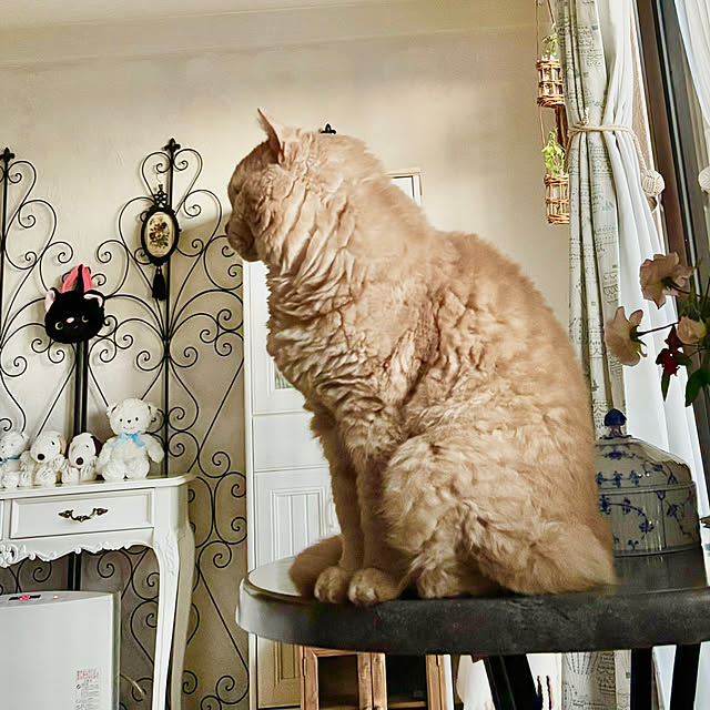 naokoさんの部屋