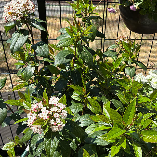 romiromiさんの部屋