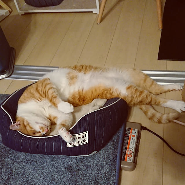 taka-kiさんの実例写真
