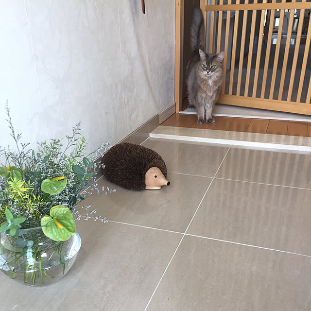 shihoさんの実例写真