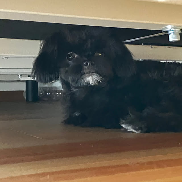 shinさんの部屋