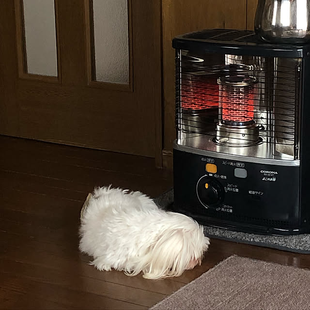 pino1227さんの実例写真