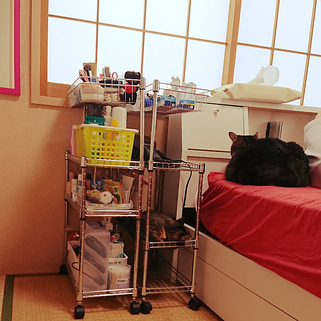 noguriさんの実例写真