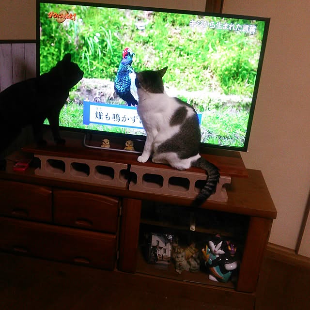 tomopさんの実例写真