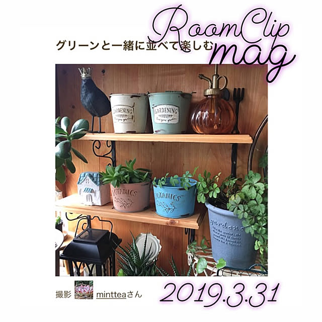 mintteaさんの実例写真
