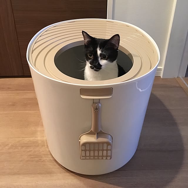 mikomaruさんの実例写真