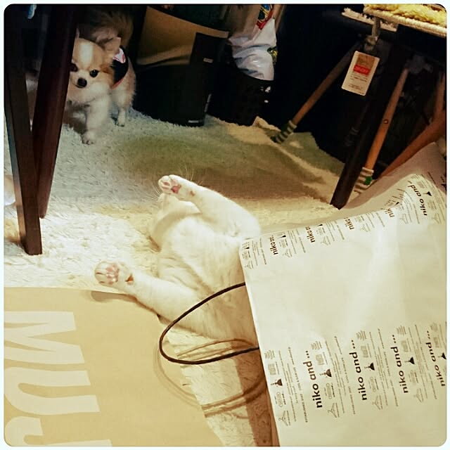 porinさんの実例写真