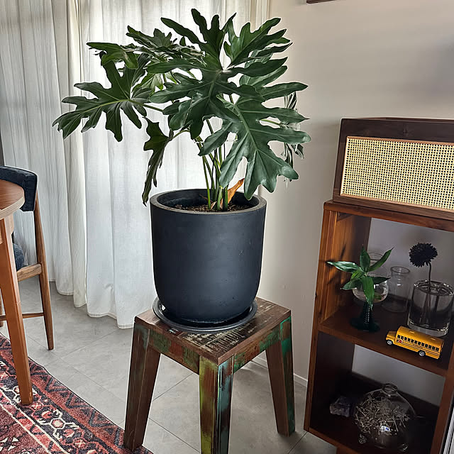 yamasanさんの実例写真