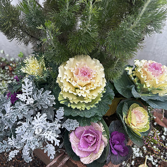 kakorinさんの実例写真