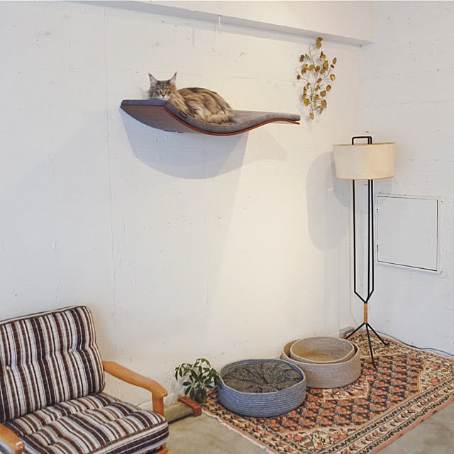 decorameowさんの実例写真