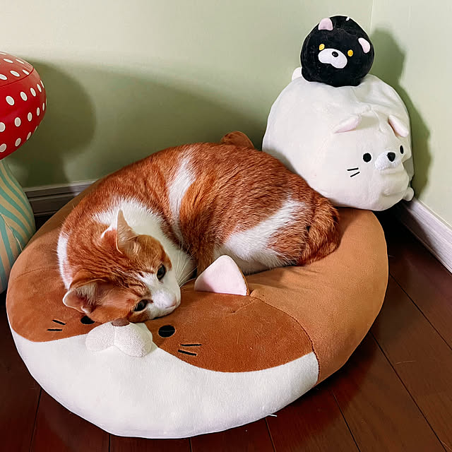 meさんの実例写真