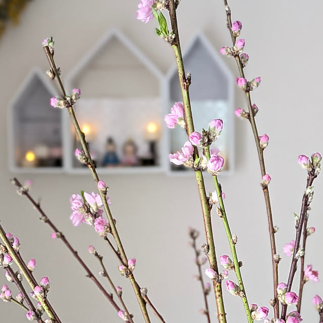 yukkin29さんの部屋