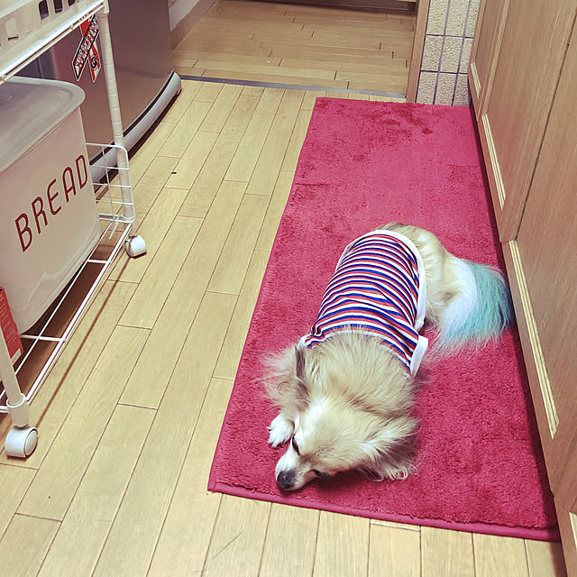 hebi-ichigoさんの実例写真