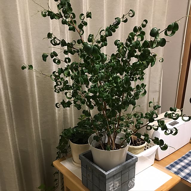 inaba0178さんの実例写真
