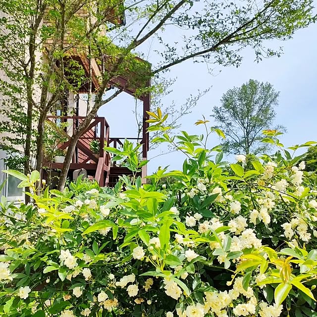 ai.happyplaceさんの実例写真