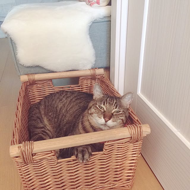 lovecatさんの実例写真