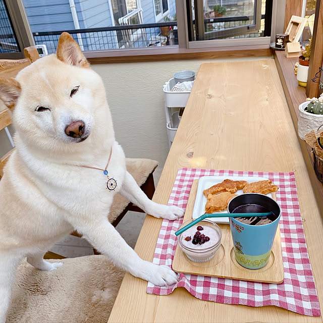 skyさんの実例写真