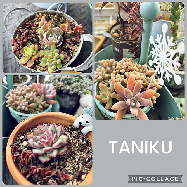 CoCo0617さんの部屋